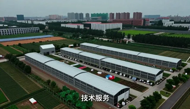 来料加工选型中的常见问题与应对策略